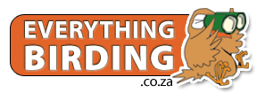 EverythingBirding